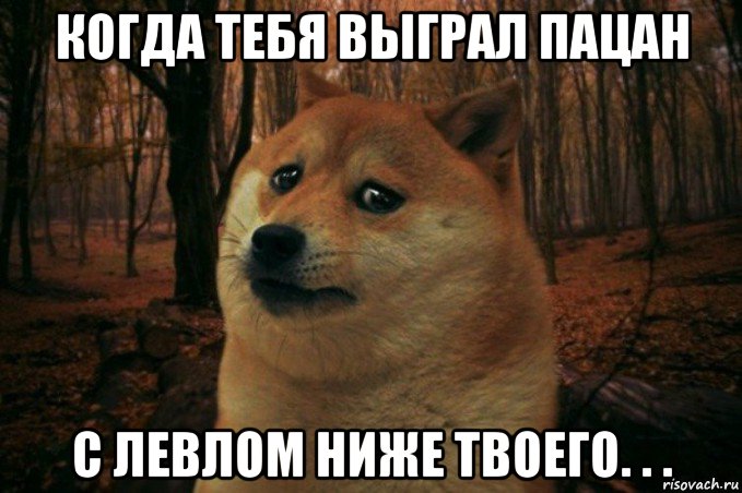 когда тебя выграл пацан с левлом ниже твоего. . ., Мем SAD DOGE