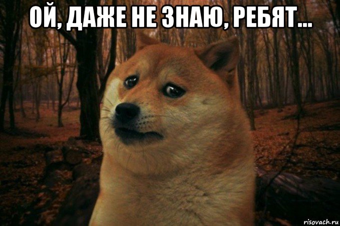 ой, даже не знаю, ребят... , Мем SAD DOGE