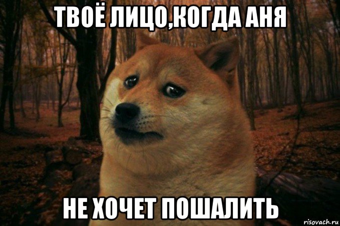 твоё лицо,когда аня не хочет пошалить, Мем SAD DOGE