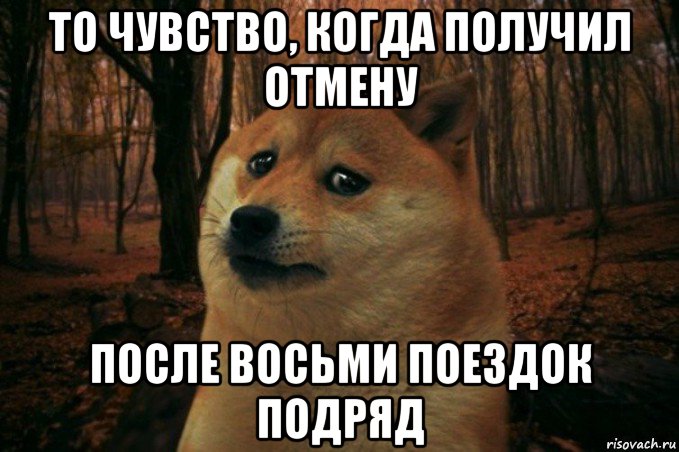 то чувство, когда получил отмену после восьми поездок подряд, Мем SAD DOGE