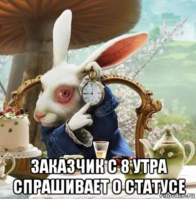  заказчик с 8 утра спрашивает о статусе