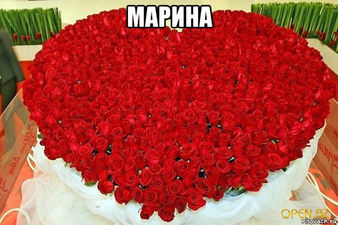 марина 