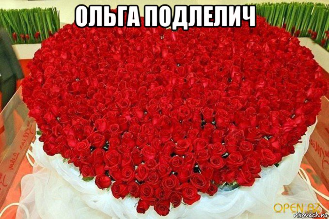 ольга подлелич 
