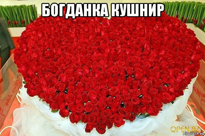 богданка кушнир 