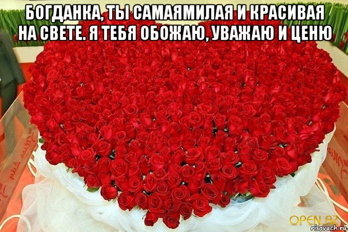 богданка, ты самаямилая и красивая на свете. я тебя обожаю, уважаю и ценю 