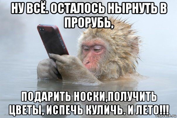 http://risovach.ru/upload/2017/01/mem/selfi_135111954_orig_.jpg