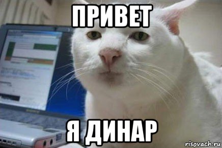 привет я динар