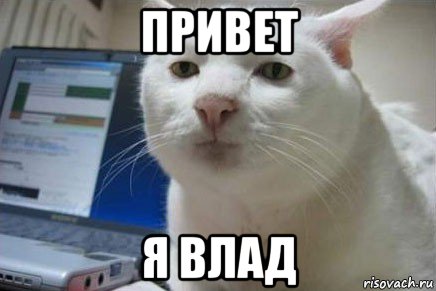 привет я влад