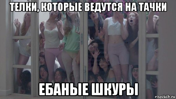 телки, которые ведутся на тачки ебаные шкуры, Мем Шкуры узнали