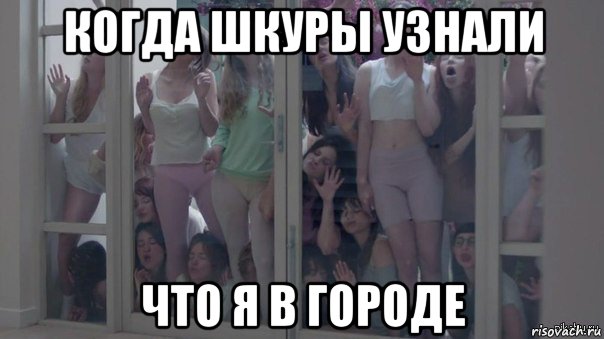когда шкуры узнали что я в городе, Мем Шкуры узнали