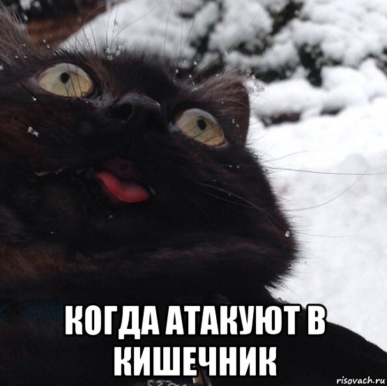 когда атакуют в кишечник