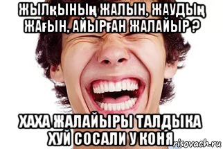 жылқының жалын, жаудың жағын, айырған жалайыр ? хаха жалайыры талдыка хуй сосали у коня, Мем Смех