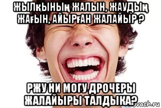 жылқының жалын, жаудың жағын, айырған жалайыр ? ржу ни могу дрочеры жалайыры талдыка?, Мем Смех