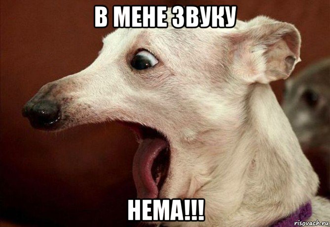 в мене звуку нема!!!