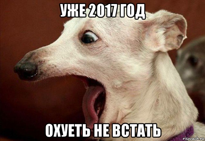 уже 2017 год охуеть не встать