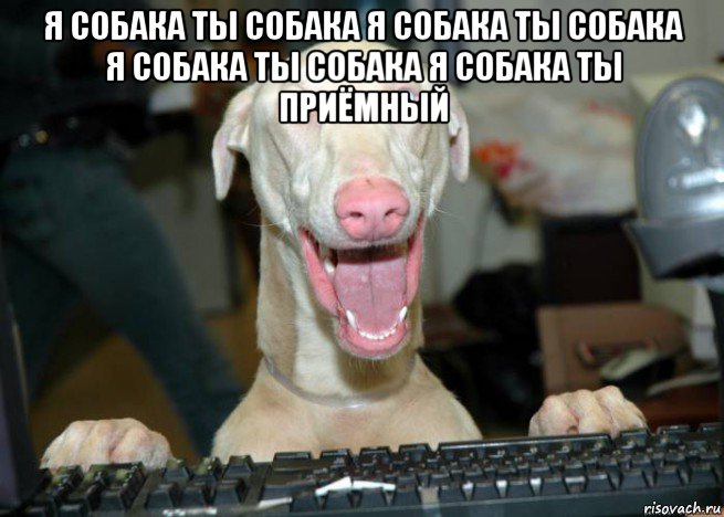 я собака ты собака я собака ты собака я собака ты собака я собака ты приёмный 