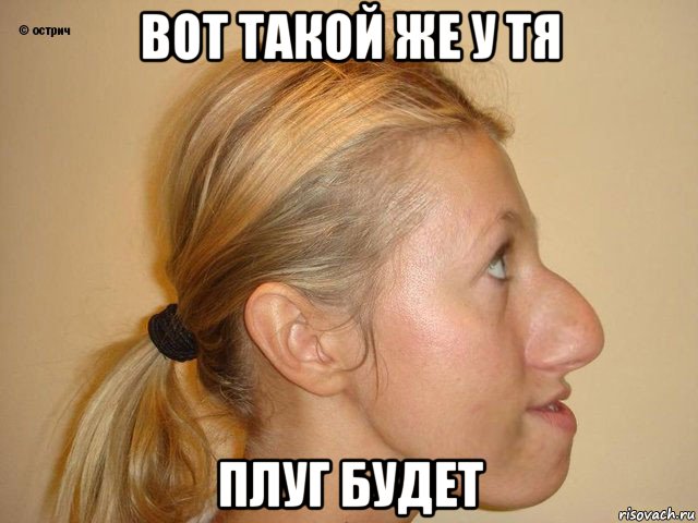 вот такой же у тя плуг будет