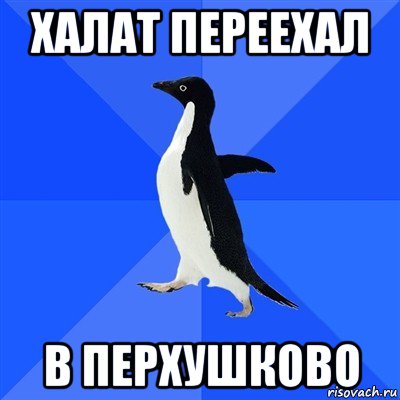 халат переехал в перхушково, Мем  Социально-неуклюжий пингвин