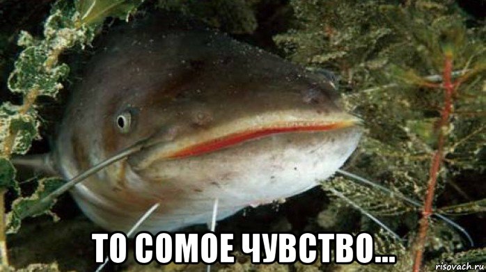  то сомое чувство...