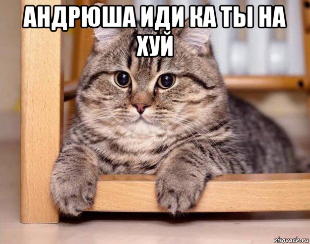 андрюша иди ка ты на хуй 