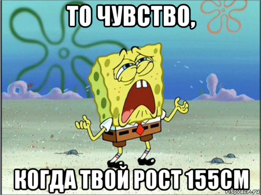 то чувство, когда твой рост 155см, Мем Спанч Боб плачет