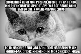 спокойной ночи моя родная, несмотря на то что мы очень далеко друг от друга я все-равно вижу тебя во сне, и очень скучаю...нилу есть на свете две звезды, под названием я и нилюфар. спокойной ночи, моя звездочка!, Мем спокойной ночи