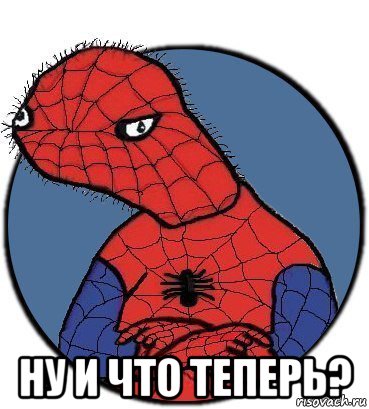  ну и что теперь?, Мем Спудик