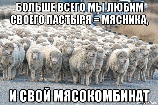 больше всего мы любим своего пастыря = мясника, и свой мясокомбинат, Мем стадо овец