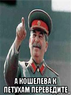  а кошелева к петухам переведите
