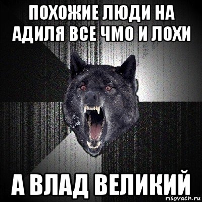 похожие люди на адиля все чмо и лохи а влад великий, Мем Сумасшедший волк