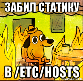 забил статику в /etc/hosts