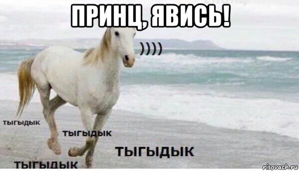 принц, явись! , Мем   Тыгыдык