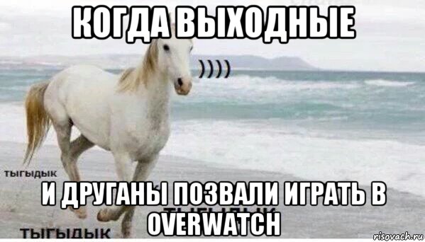 когда выходные и друганы позвали играть в overwatch, Мем   Тыгыдык