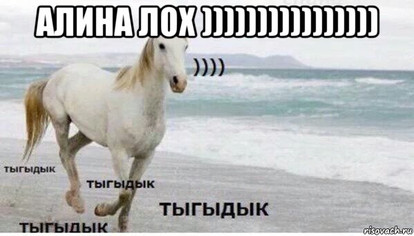 алина лох )))))))))))))))) , Мем   Тыгыдык