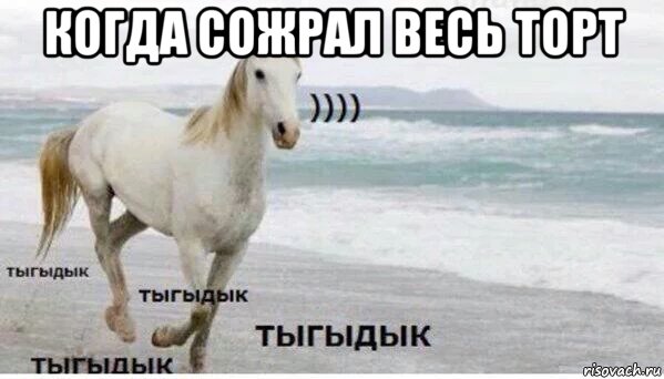 когда сожрал весь торт , Мем   Тыгыдык