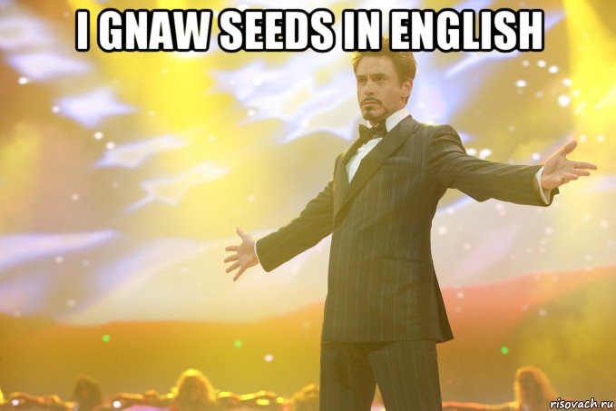i gnaw seeds in english , Мем Тони Старк (Роберт Дауни младший)