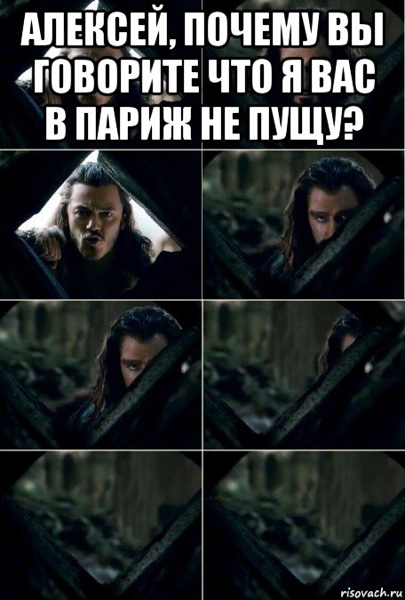 алексей, почему вы говорите что я вас в париж не пущу? , Мем Торин сливается