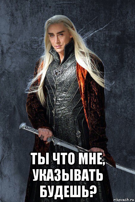  ты что мне, указывать будешь?