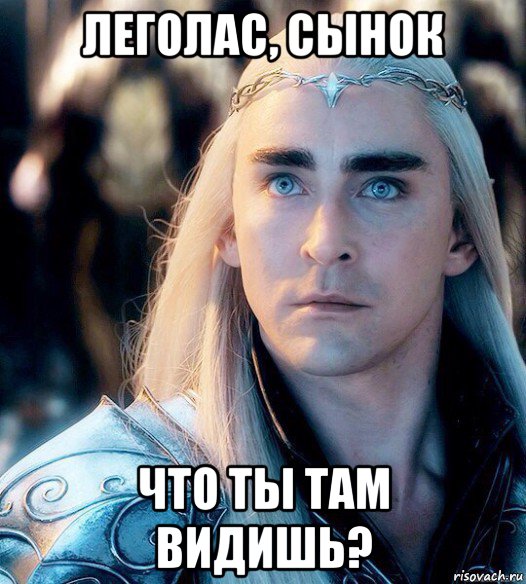 леголас, сынок что ты там видишь?