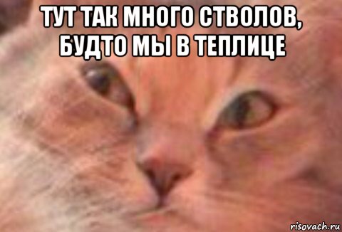 тут так много стволов, будто мы в теплице , Мем TRIGGERED