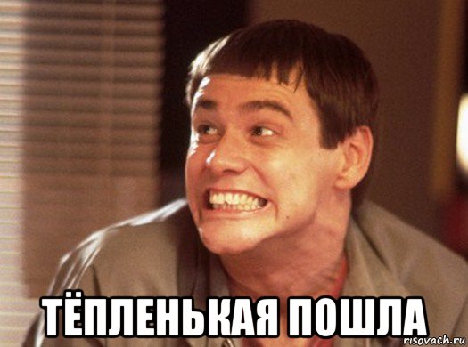  тёпленькая пошла, Мем тупой