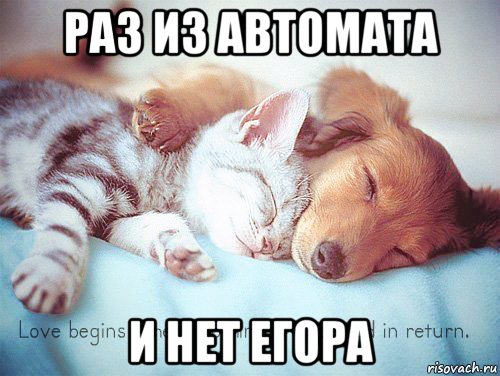 раз из автомата и нет егора