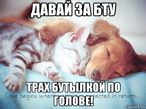 давай за бту трах бутылкой по голове!