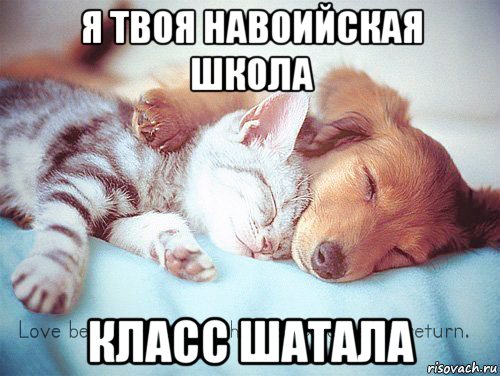 я твоя навоийская школа класс шатала