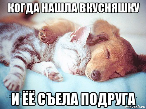 когда нашла вкусняшку и ёё съела подруга