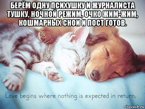 берём одну психушку и журналиста тушку, ночной режим, очко жим-жим, кошмарных снои и пост готов. 