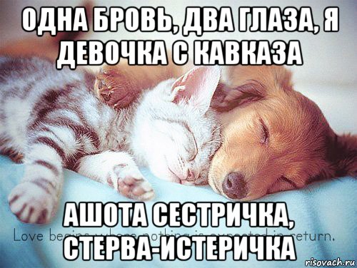 одна бровь, два глаза, я девочка с кавказа ашота сестричка, стерва-истеричка