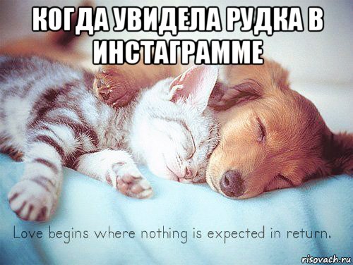 когда увидела рудка в инстаграмме 