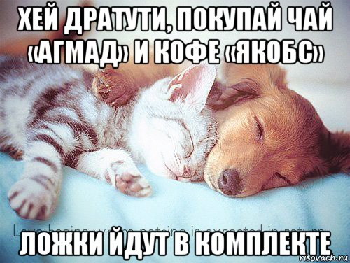 хей дратути, покупай чай «агмад» и кофе «якобс» ложки йдут в комплекте