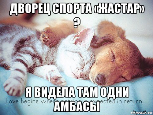 дворец спорта «жастар» ? я видела там одни амбасы